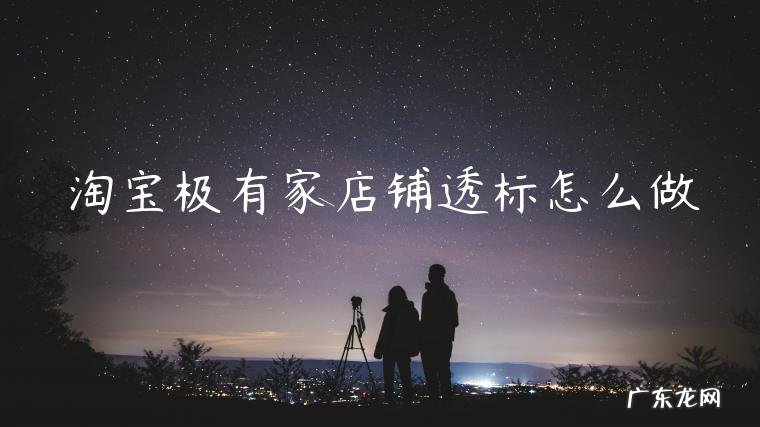 淘宝极有家店铺透标怎么做