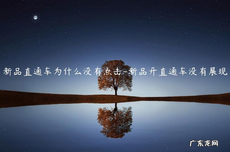 直通车有展现没点击是什么原因 新品直通车为什么没有点击