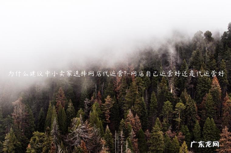 淘宝店代运营效果好吗 为什么建议中小卖家选择网店代运营