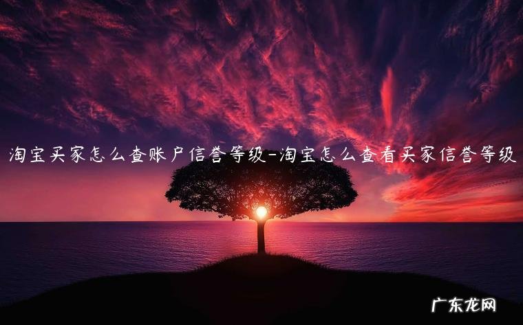 淘宝账号信誉度怎么查 淘宝买家怎么查账户信誉等级