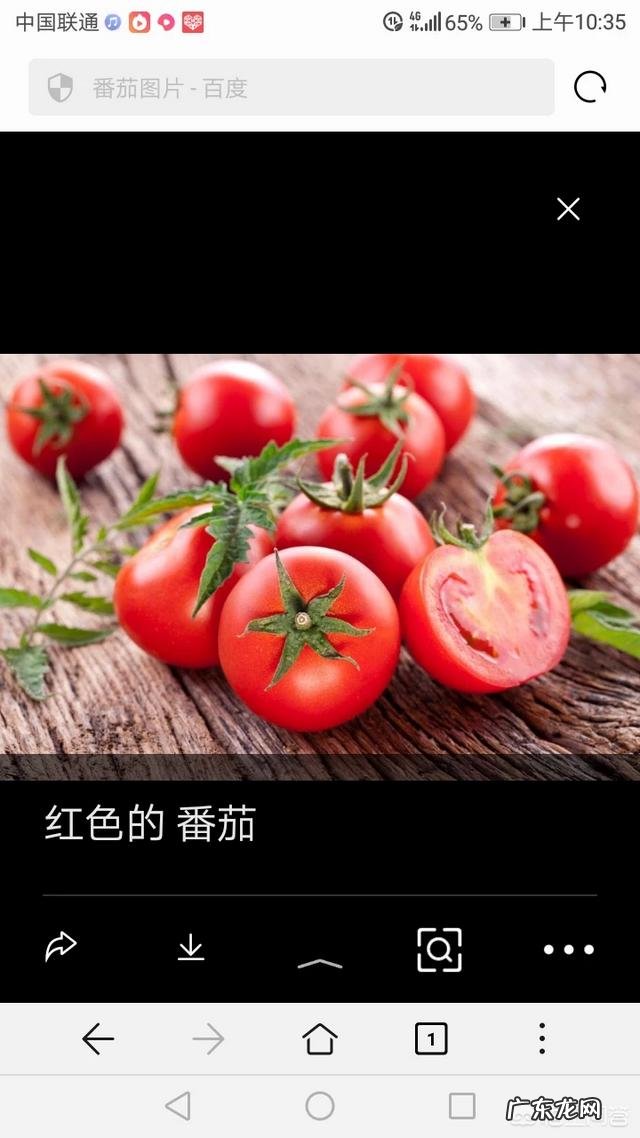 羊肉、番茄、冬瓜可以一起来做汤吗?