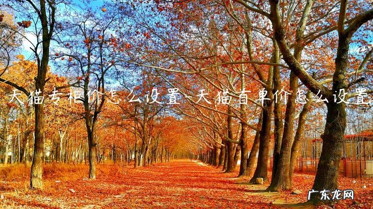 天猫店铺商品价格怎么修改 天猫专柜价怎么设置