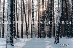 支付宝提现花钱 支付宝消费金怎么提现