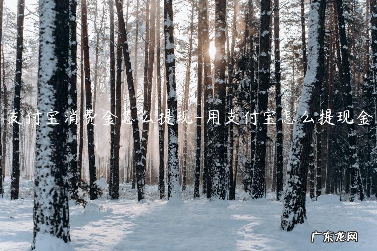 支付宝提现花钱 支付宝消费金怎么提现