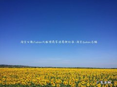 ifashion女装 淘宝女鞋iFashion风格馆商家招商新标准