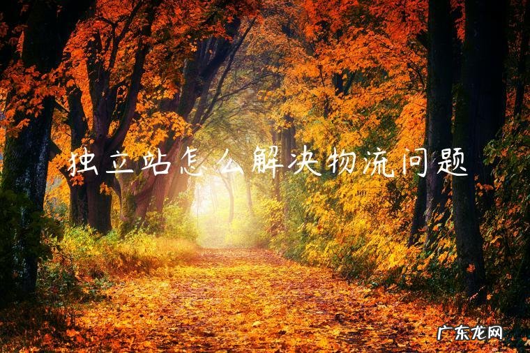 独立站物流方案 独立站怎么解决物流问题