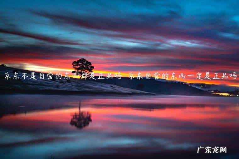 京东超市和京东自营的都是正品吗 京东不是自营的东西都是正品吗