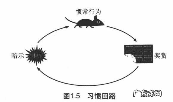 影响国民幸福指数的因素有哪些？