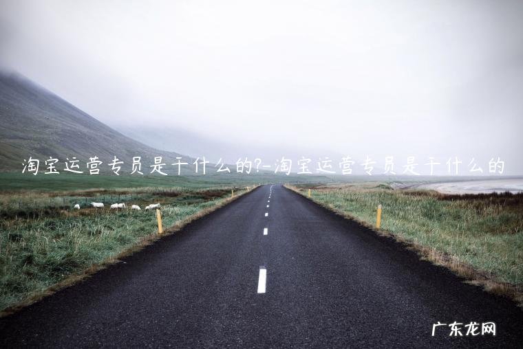 淘宝管理员是干什么的 淘宝运营专员是干什么的