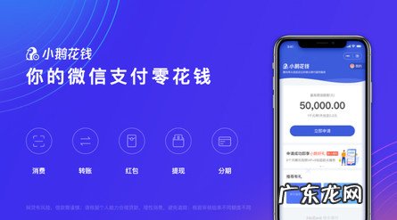 请问小鹅花钱额度怎么套出来,小鹅花钱提现的方法有哪些?
