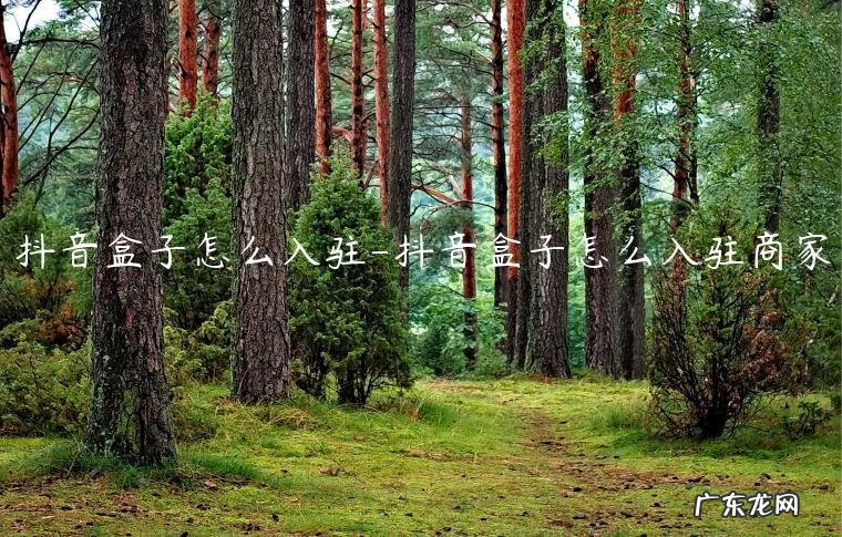 抖音盒子怎么入驻海外 抖音盒子怎么入驻