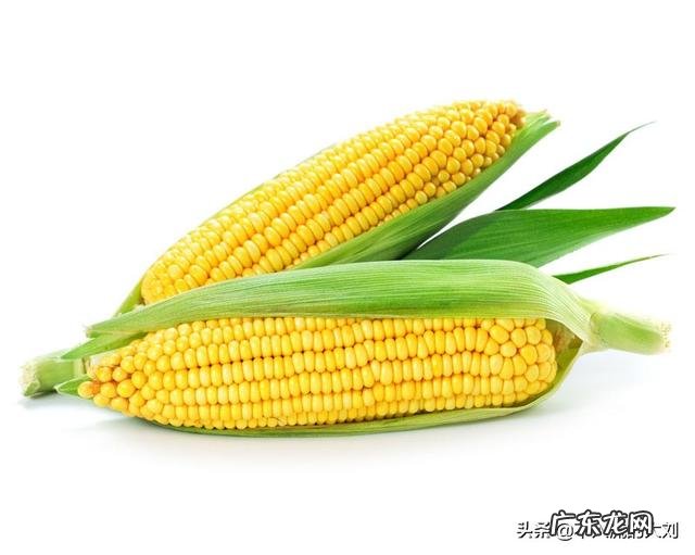 晚餐一个玉米一个鸡蛋一点水果能减肥吗?