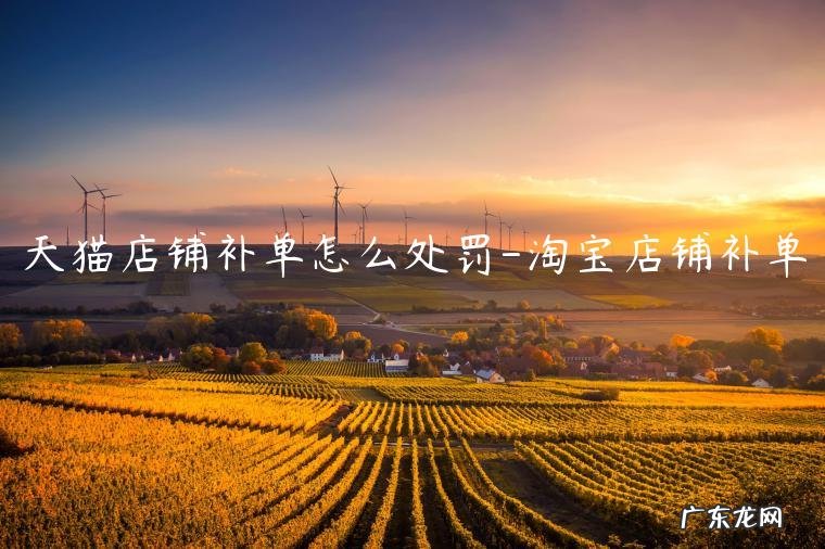 天猫店铺工单处理如何处理 天猫店铺补单怎么处罚