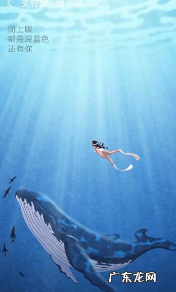 支付宝地下室是什么意思 支付宝地下室是什么