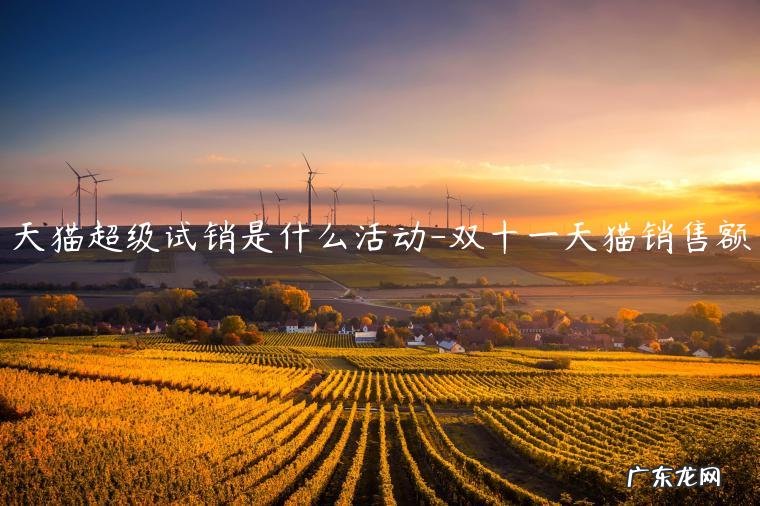 双十一天猫销售 天猫超级试销是什么活动