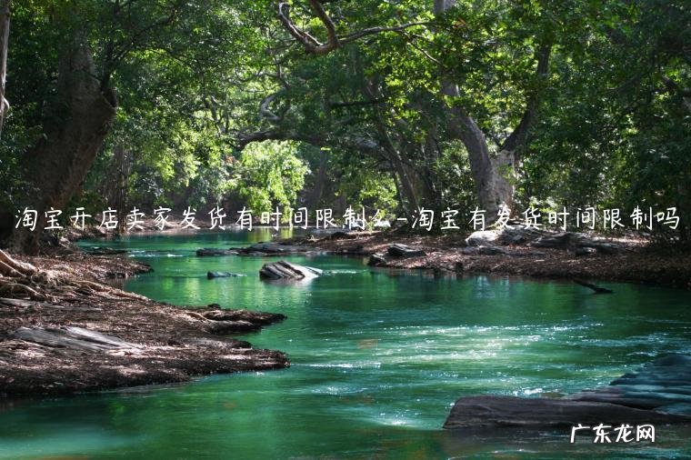 淘宝店铺超过发货时间 淘宝开店卖家发货有时间限制么