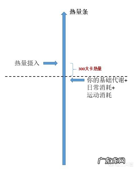 人体比较瘦，怎么增加肌肉？