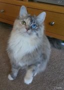 diyi次使用跑步机应该怎么做呢？