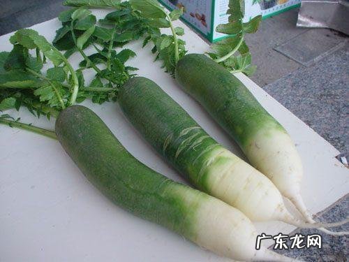 都说潍坊萝卜好吃，什么季节吃最好？