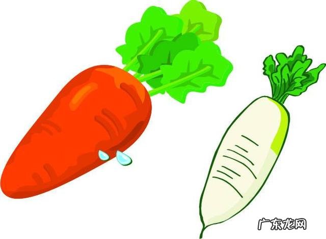 都说潍坊萝卜好吃，什么季节吃最好？