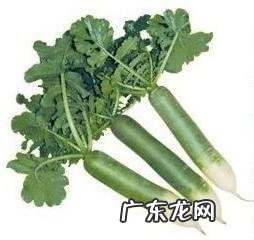 都说潍坊萝卜好吃，什么季节吃最好？