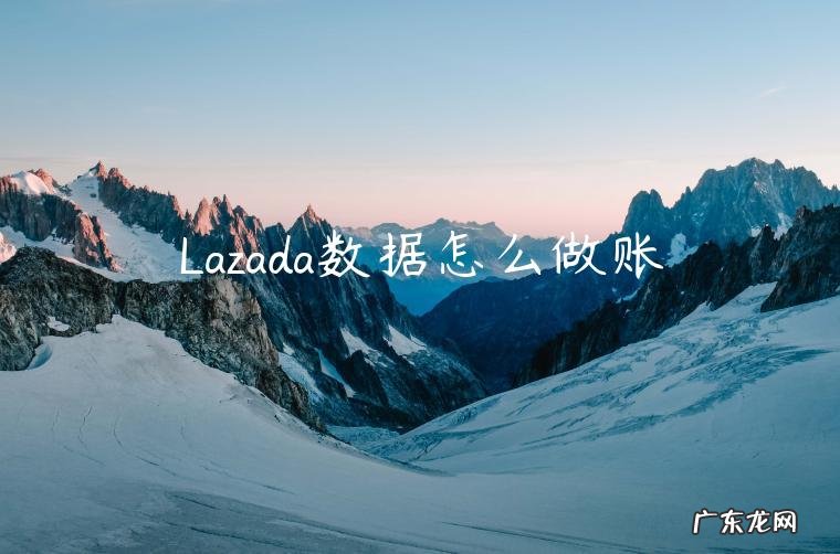 Lazada数据怎么做账