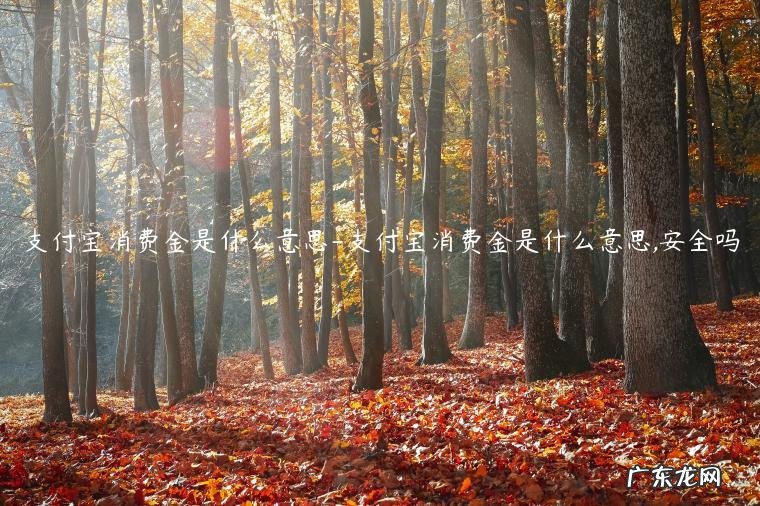 支付宝消费金是干什么用的 支付宝消费金是什么意思