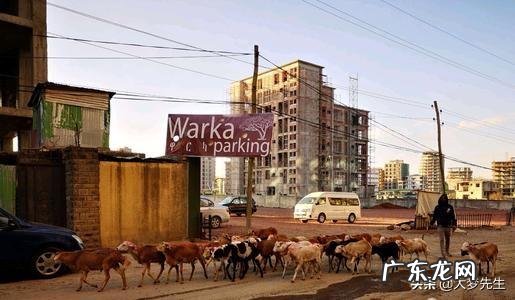 怎么样才能健康且方便地减脂呢?