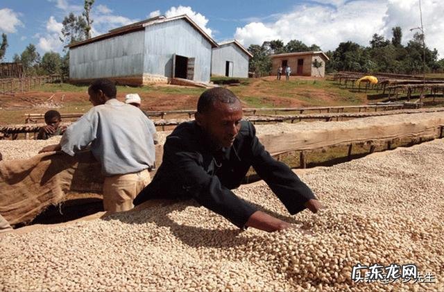 怎么样才能健康且方便地减脂呢?