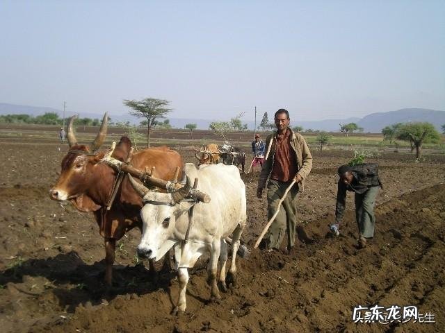 怎么样才能健康且方便地减脂呢?