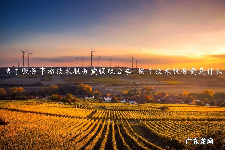 快手小店技术服务费收费标准怎么理解 快手服务市场技术服务费收取公告