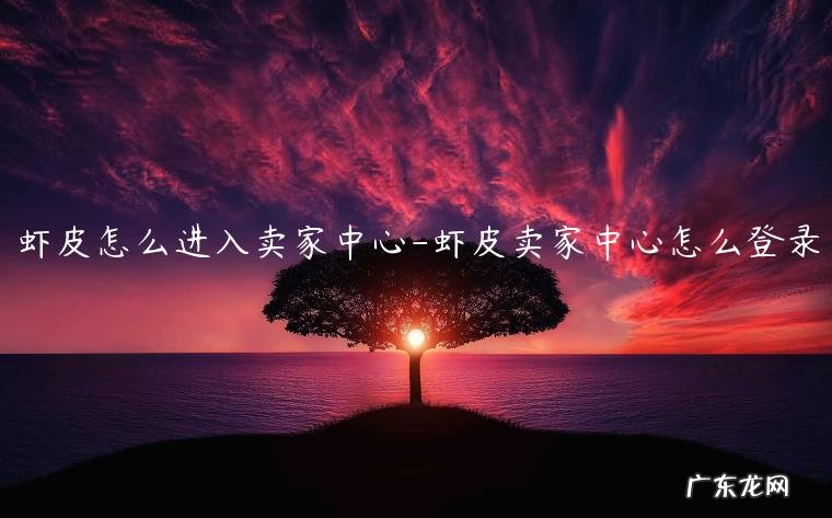 虾皮商城怎么开 虾皮怎么进入卖家中心