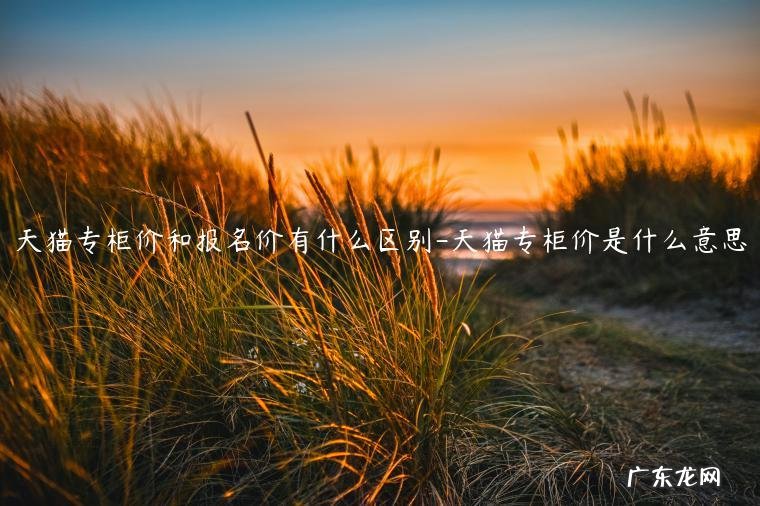 天猫上的价格和实体店价格一样吗? 天猫专柜价和报名价有什么区别