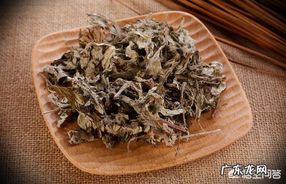 艾草有什么作用图文 农村常见的艾草有什么作用？为什么？