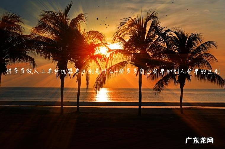 拼多多发单机器人 拼多多做人工单和机器单区别是什么