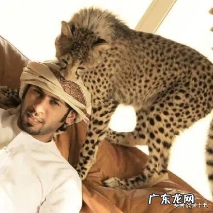 西班牙的人文特色是怎样的