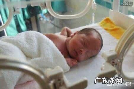 孩子一出生因早产或特殊情况被送去新生儿科，这是一种怎样的体验