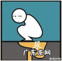 车钱草可以喂鸡吗？有什么好处？