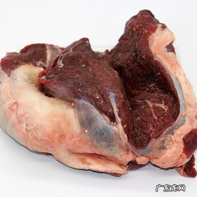 骆驼肉能吃吗？味道怎么样？