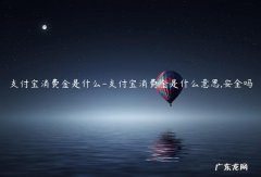 支付宝消费金是什么用 支付宝消费金是什么