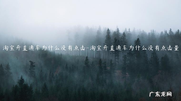 淘宝直通车要一直开着吗 淘宝开直通车为什么没有点击