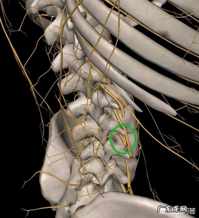 我有骨质增生,腰间盘膨出能去健身房吗?