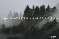 淘宝千牛客服分流怎么设置 天猫店铺如何设置客服分流