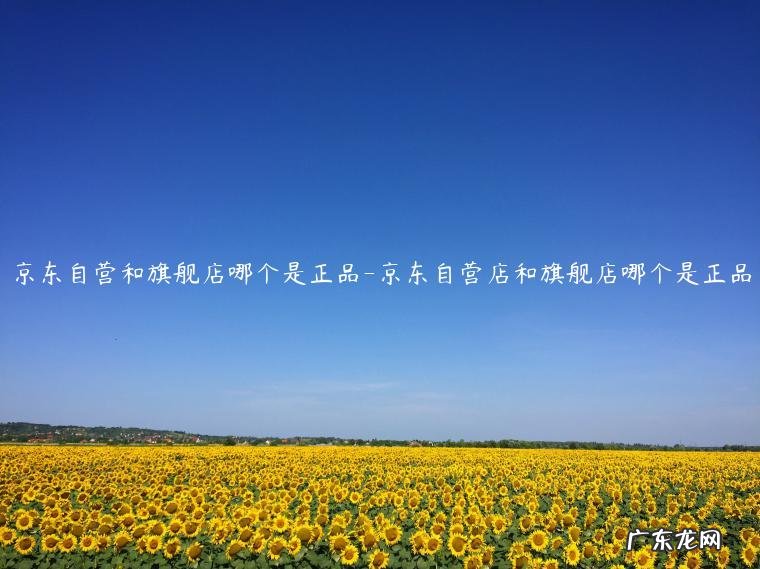京东里面的专营店和旗舰店哪个是正品 京东自营和旗舰店哪个是正品