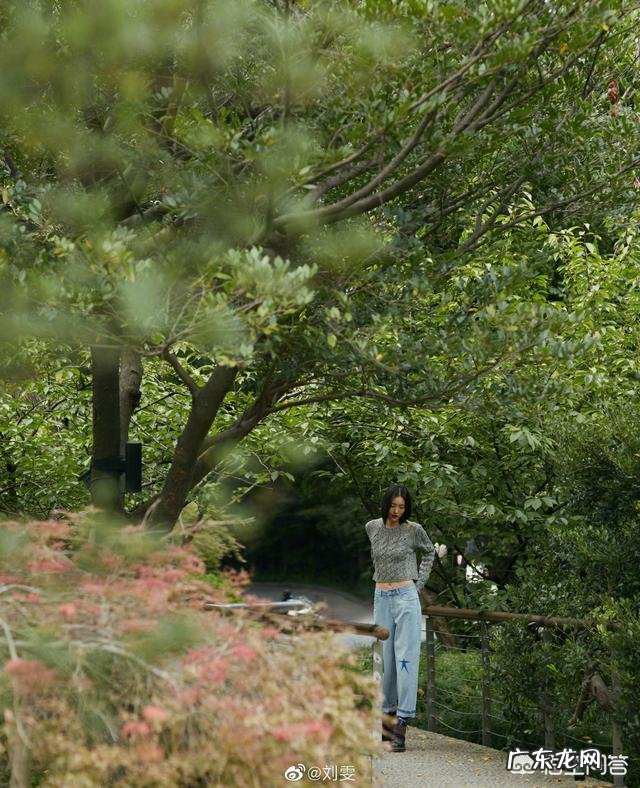 刘雯美丽营业，巴掌大的腰是真实存在的吗？