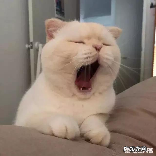 手黑适合什么颜色的美甲?