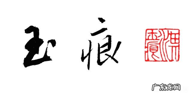 玫瑰月季 如何正确分辨玫瑰与月季?