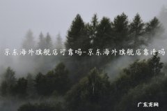 京东海外旗舰店的东西都是真的吗 京东海外旗舰店可靠吗