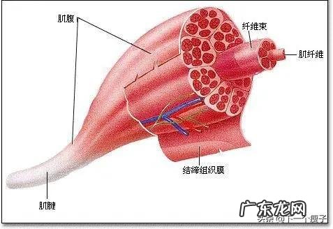 我每次有氧运动减掉400卡，多久减一斤