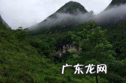 有的人说到广西巴马养生会后悔是吗?